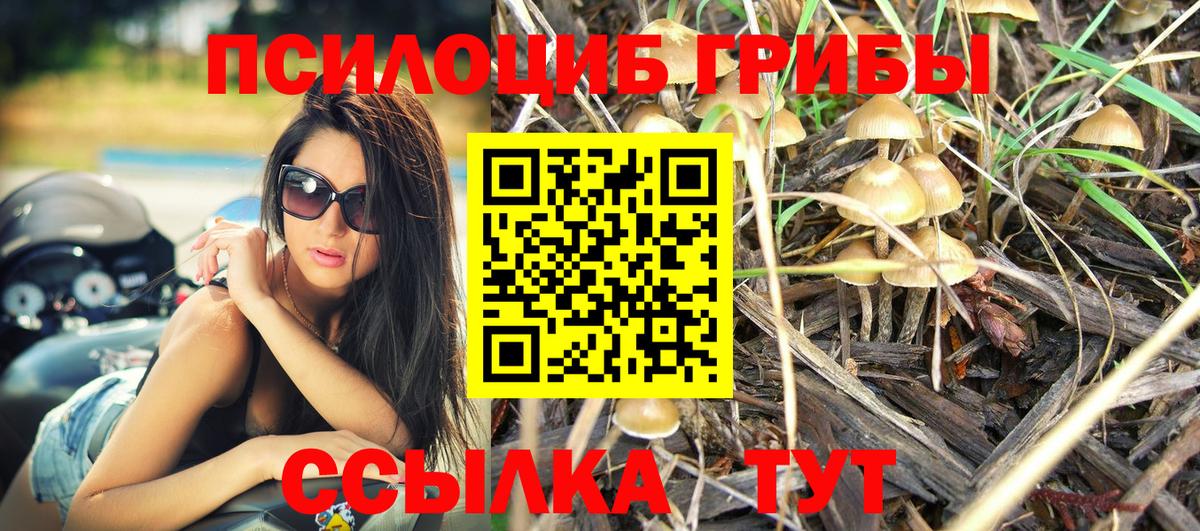 Псилоцибиновые грибы Magic Shrooms Канск